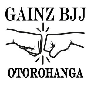 GAINZ BJJ Adults Beginner Program