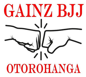 GAINZ BJJ 2x Adults Advanced Program